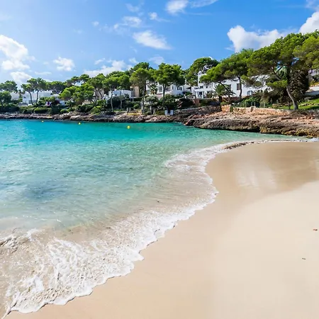 Camelia Cala d'Or (Mallorca)